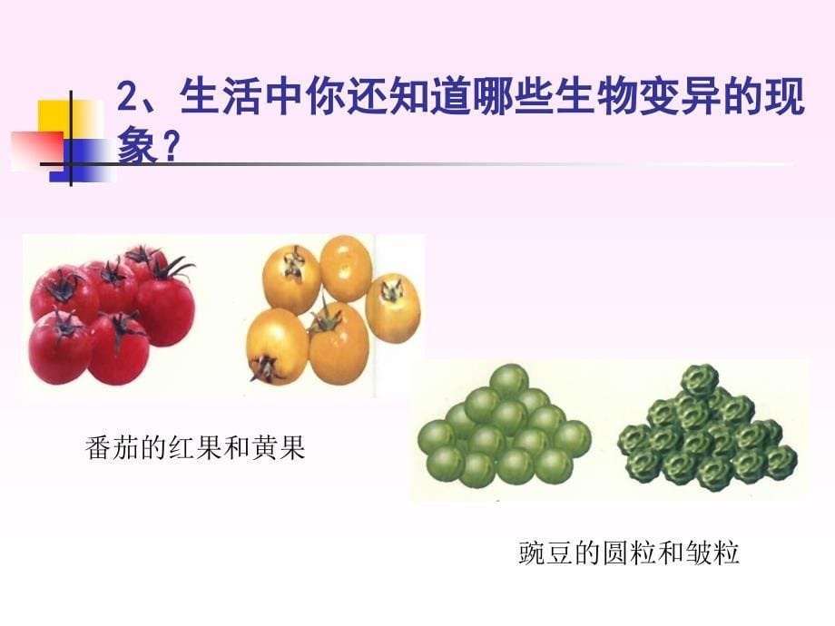 新人教版八年级下册生物的变异2_第5页