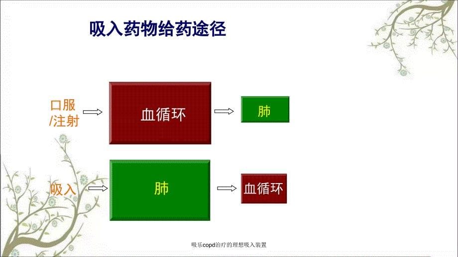 吸乐copd治疗的理想吸入装置_第5页