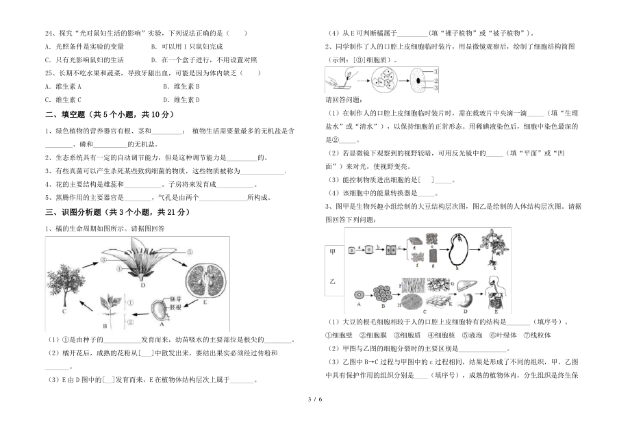 北师大版七年级上册《生物》期末考试卷(A4版)_第3页