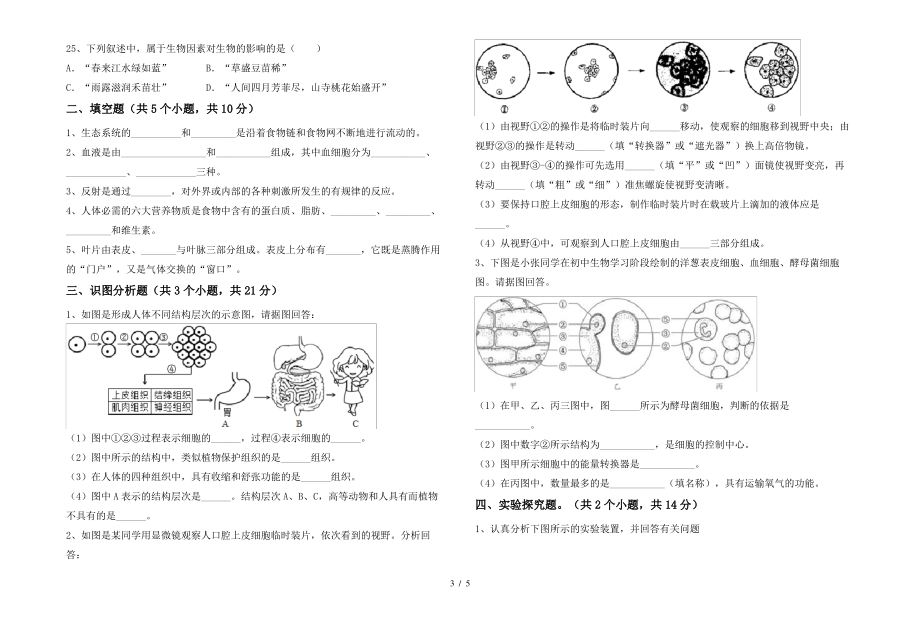 北师大版七年级生物上册期末考试卷带答案_第3页