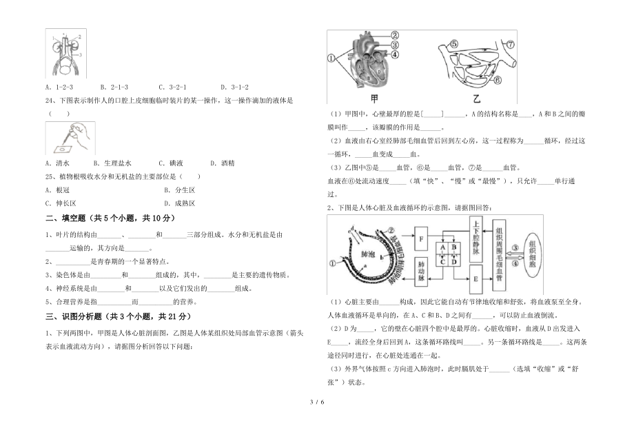 北师大版七年级上册《生物》期末试卷及答案【通用】_第3页