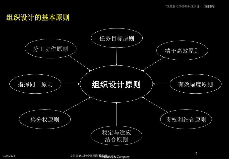 麦肯锡TCL股份组织结构设计方案课件_第5页