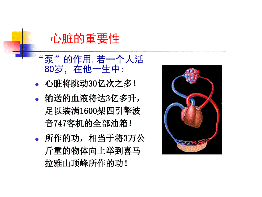 13心功能不全浅谈硕111_第3页