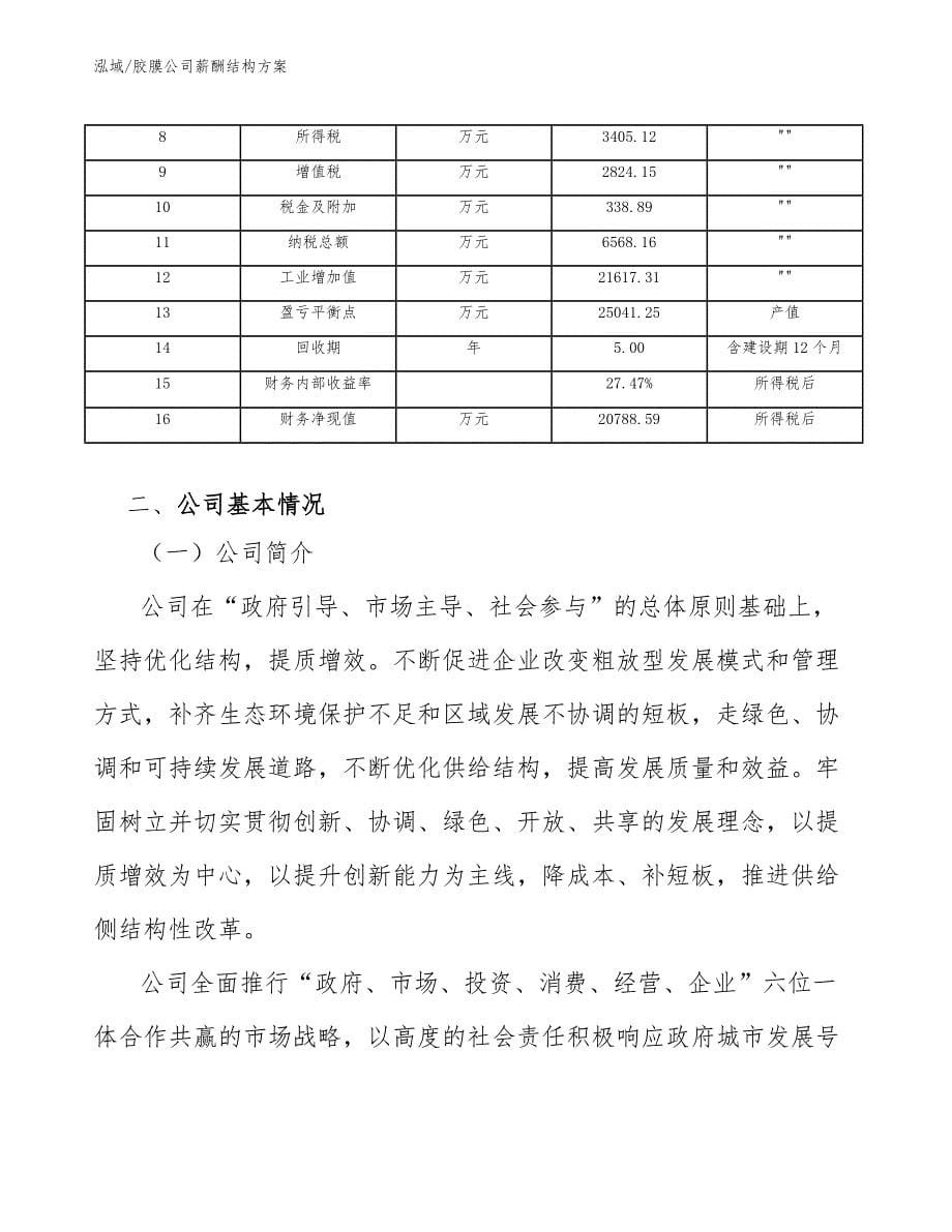 胶膜公司薪酬结构方案_第5页