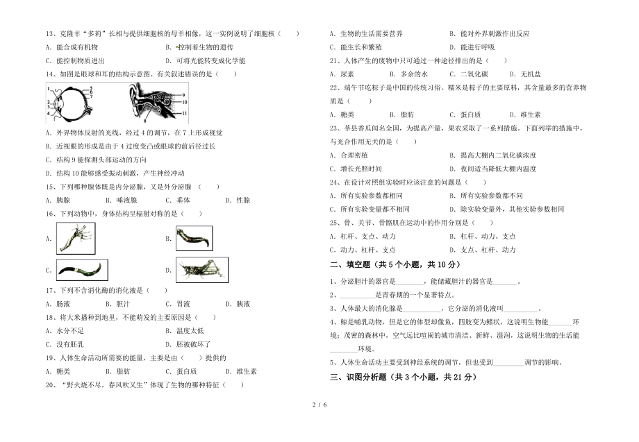 北师大版七年级上册《生物》期末模拟考试【加答案】_第2页