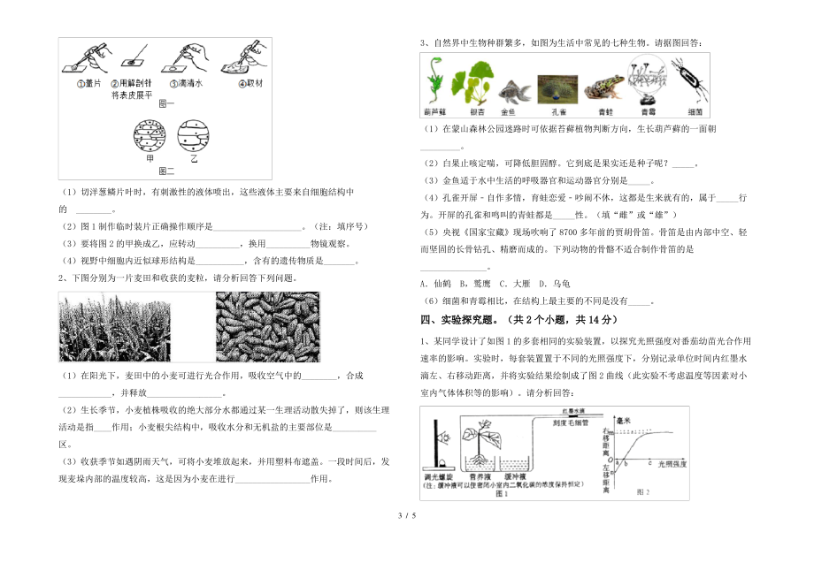 北师大版七年级上册《生物》期末考试卷及答案2_第3页