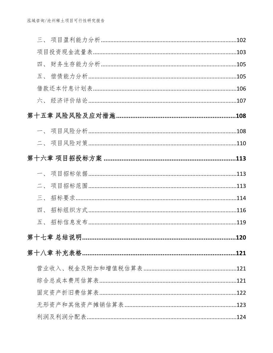沧州稀土项目可行性研究报告（模板范文）_第5页