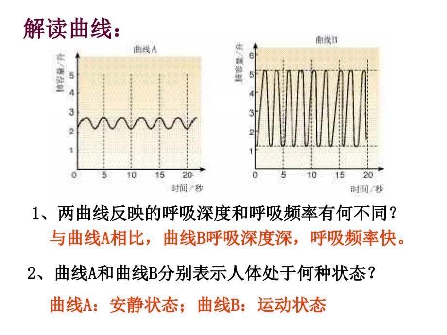 441流动的组织----血液_第5页