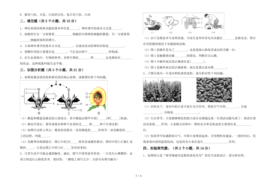 北师大版七年级上册《生物》期末试卷及答案【精编】_第3页