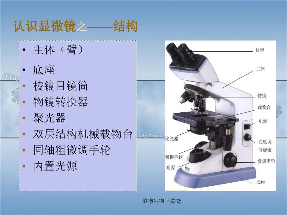 植物生物学实验课件_第4页