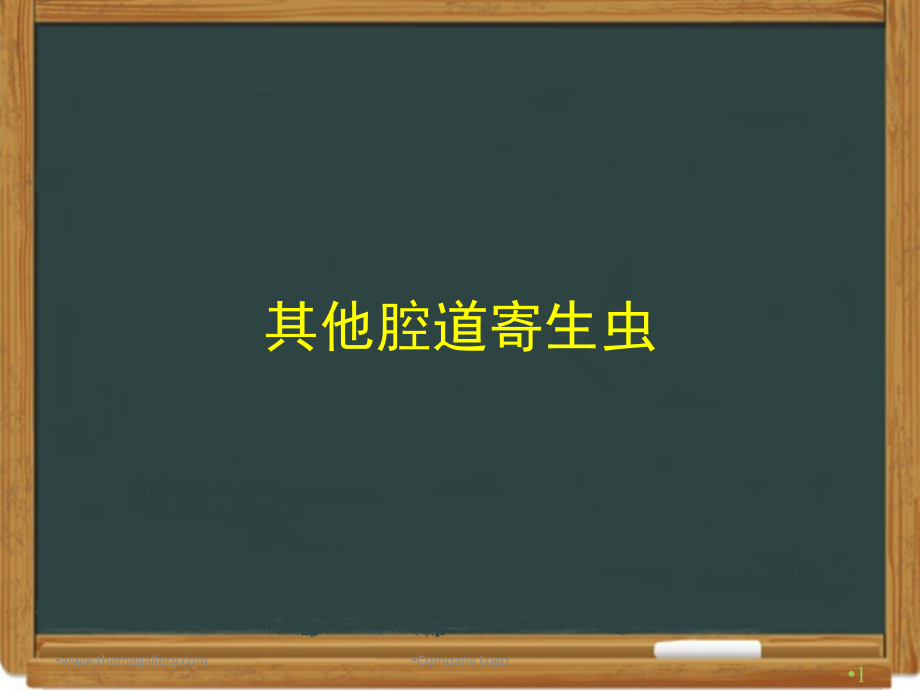 28-其他腔道寄生虫_第1页