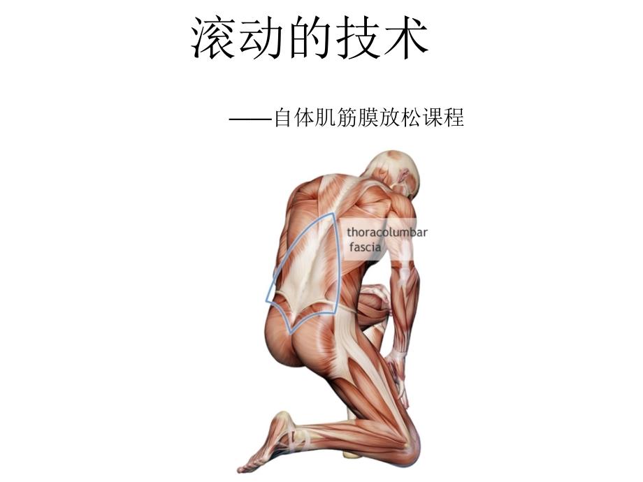 自体肌筋膜放松课程课件_第1页