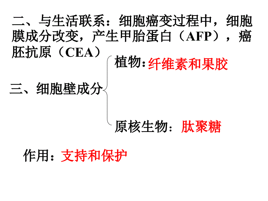 细胞的基本结构 复习.ppt_第4页