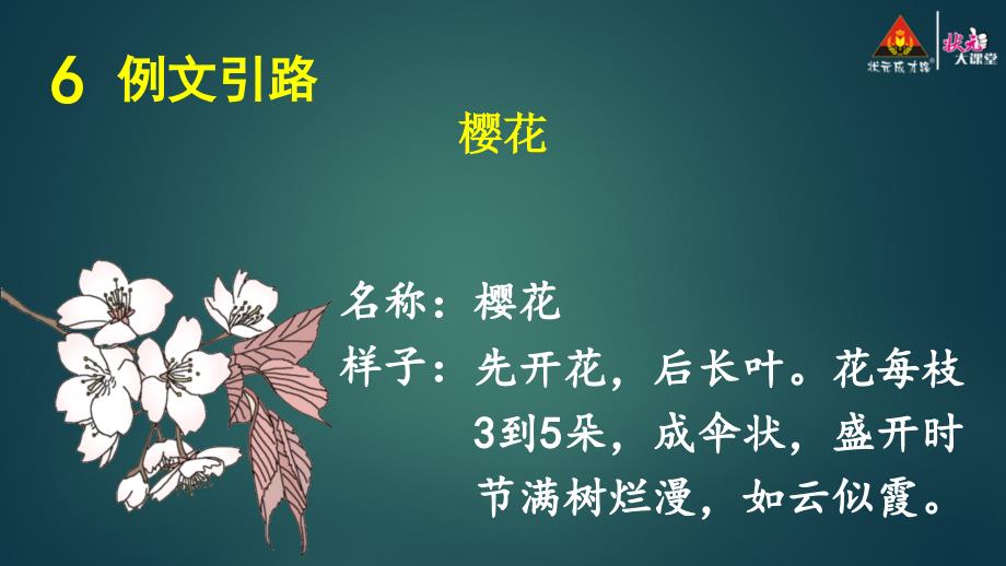 习作我的植物朋友范文_第2页