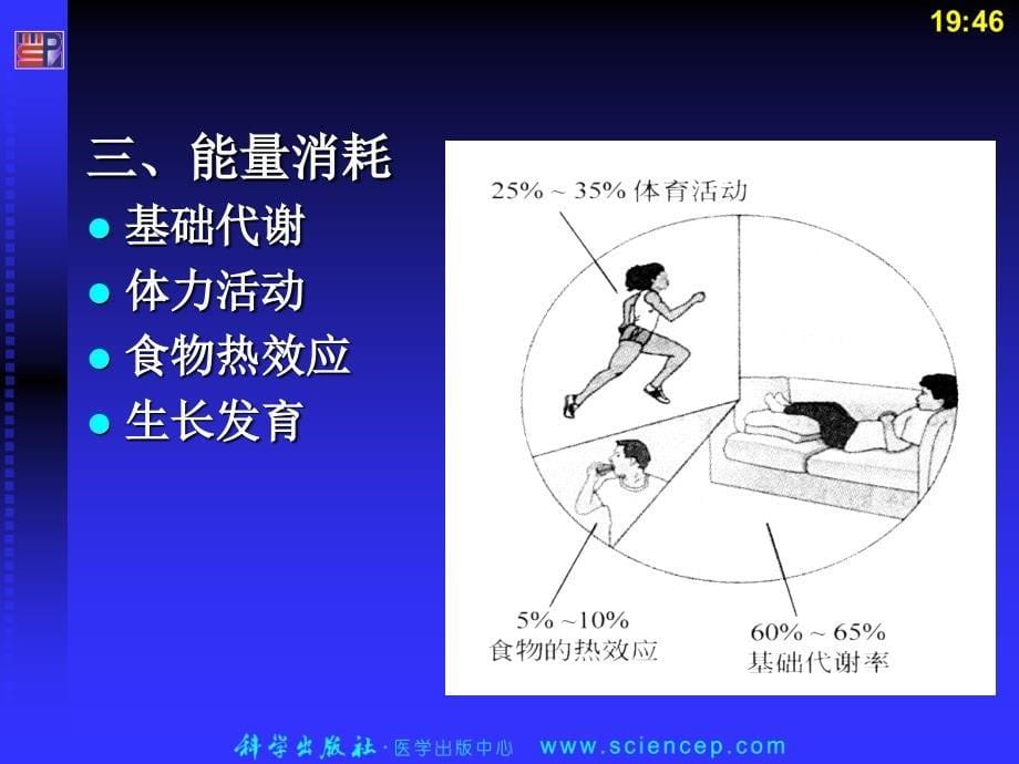 第2章 人体的营养需要_第5页