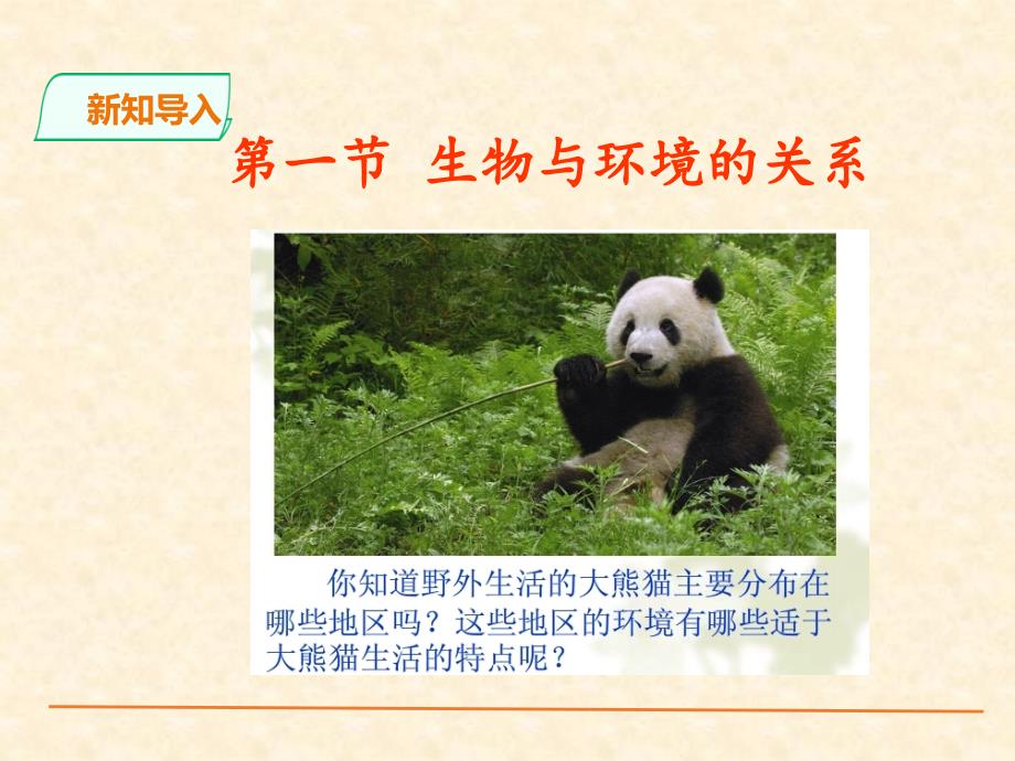 人教版七年级上册生物生物与环境的关系课件_第1页