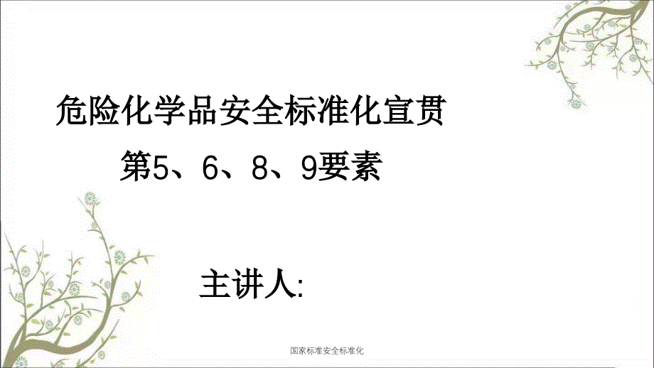 国家标准安全标准化PPT课件_第1页