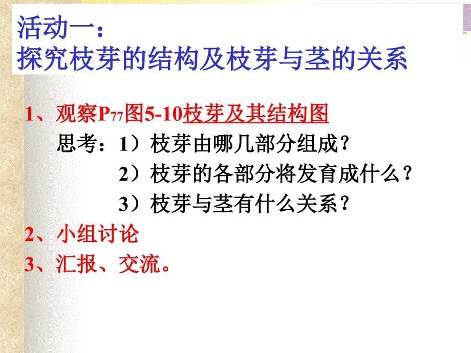 植物茎的输导功能课件_第5页