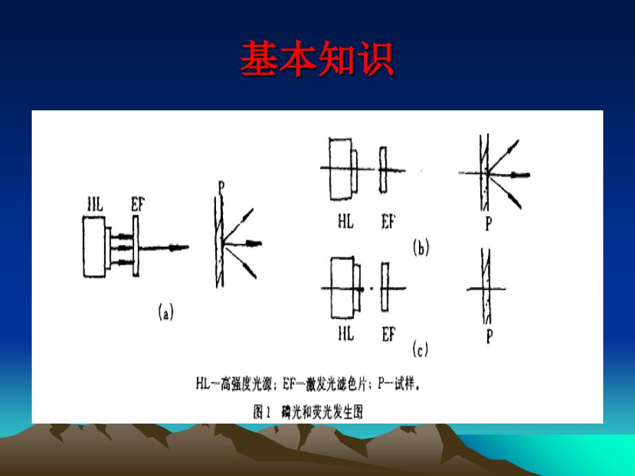 荧光显微镜分析课件_第2页