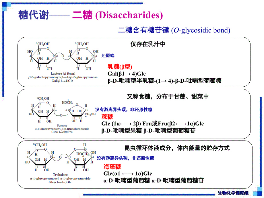 生物化学：第22章 糖酵解作用_第3页