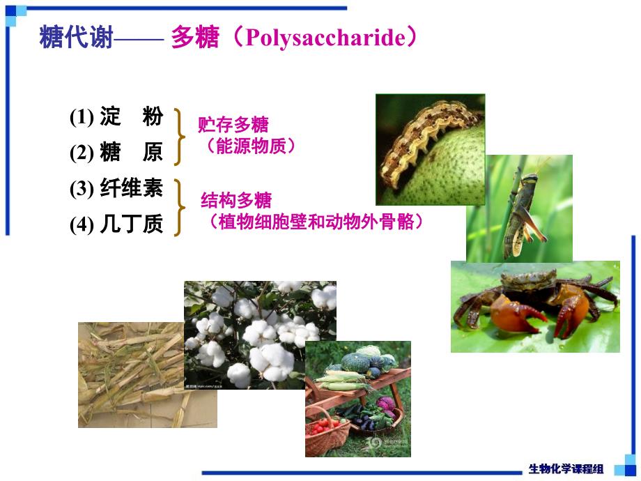 生物化学：第22章 糖酵解作用_第4页