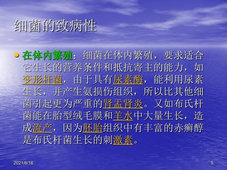 抗菌药物分类及作用机制_第5页