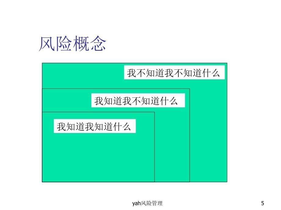 项目风险管理计划_第5页