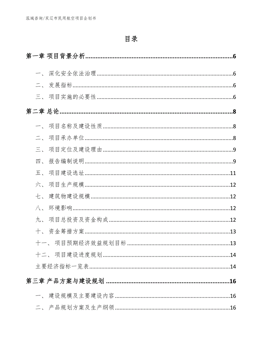 双辽市民用航空项目企划书_模板范本_第1页
