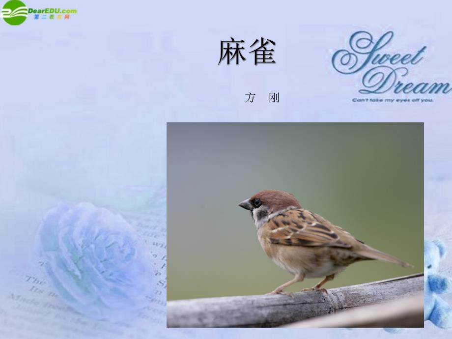 公开课教案教学设计课件上海五四制语文八下《麻雀》PPT课件_第1页
