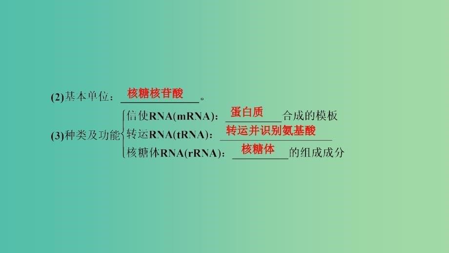 2019高考生物一轮总复习第二单元遗传的物质基础第3讲基因的表达课件新人教版必修2 .ppt_第5页