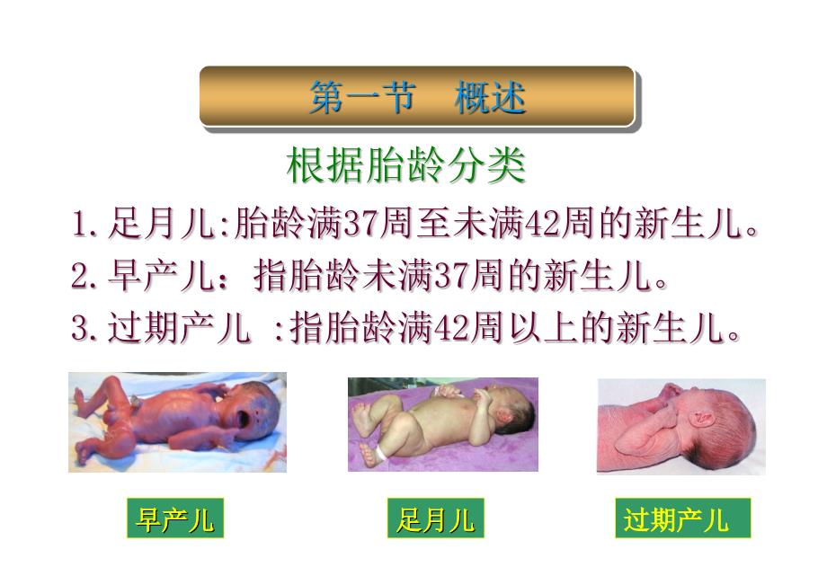 第7章 新生儿及患病新生儿的护理_第4页