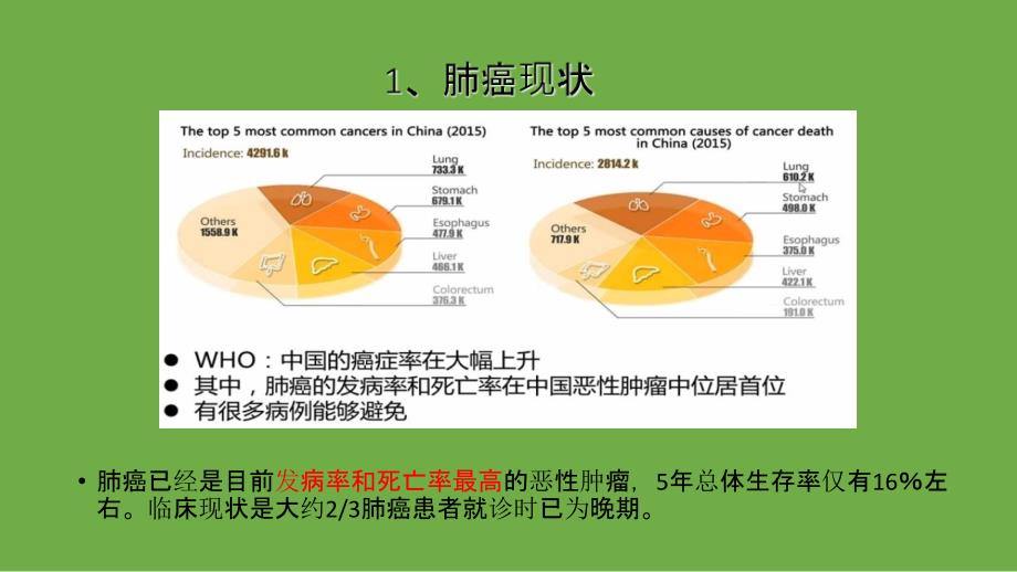 早期肺癌低剂量CT筛查_第2页