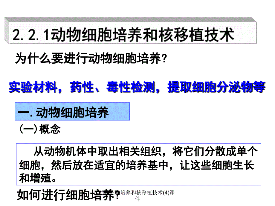 动物细胞培养和核移植技术(4)课件_第2页