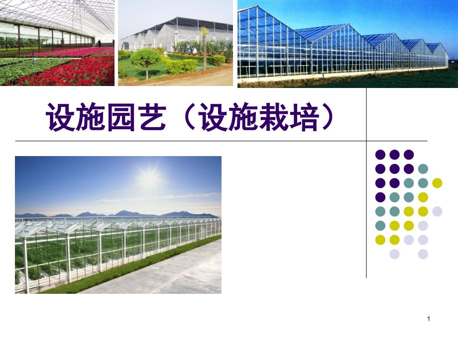 设施园艺设施栽培PPT课件_第1页