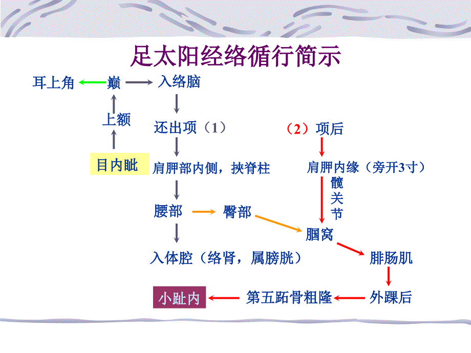 经络-8膀胱经讲解_第4页