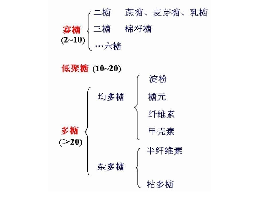 生物化学.糖类_第5页