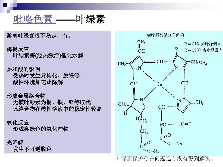 《食品的色泽》PPT课件.ppt_第5页