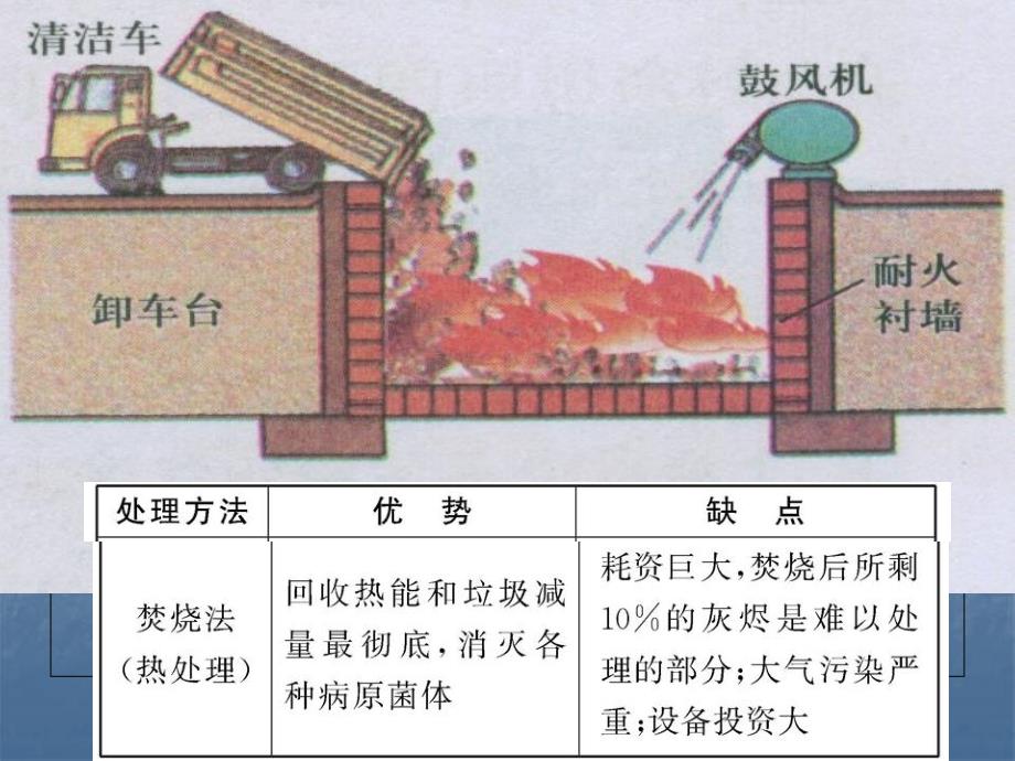 1210第44课时环境污染、生态系统、土壤盐碱化_第3页