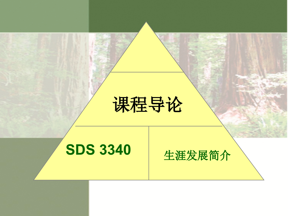 职业生涯发展与规划完整版课件全套ppt教学教程-最全电子讲义最新)_第1页