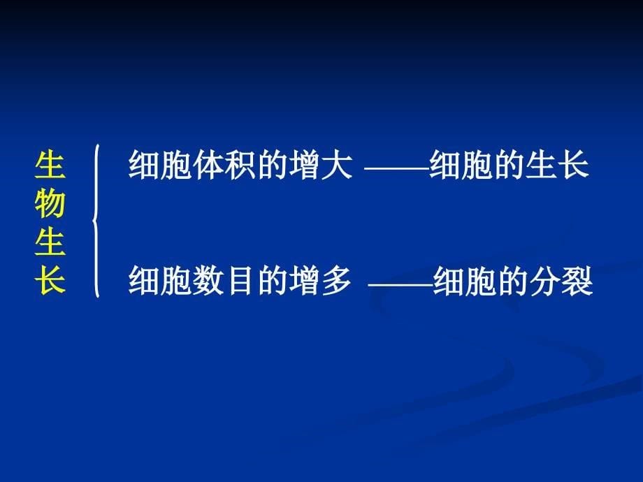 人教版七年级生物上册第二章第一节细胞通过分裂产生新细胞课件_第5页