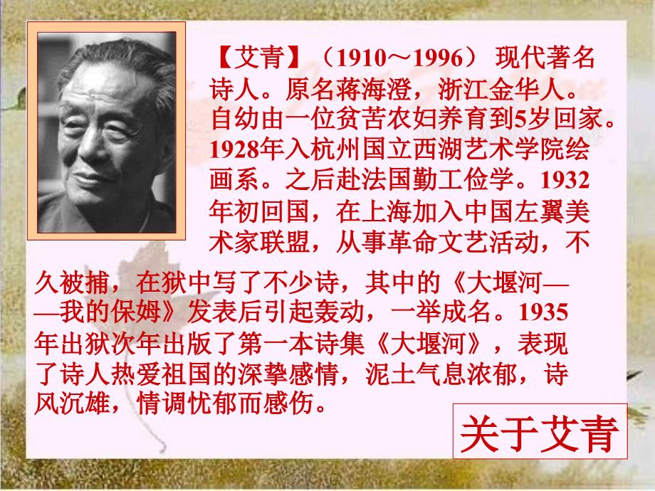 福建省漳州市云霄县将军山学校九年级语文下册 1.1《诗两首》我爱这土地课件 （新版）新人教版_第2页