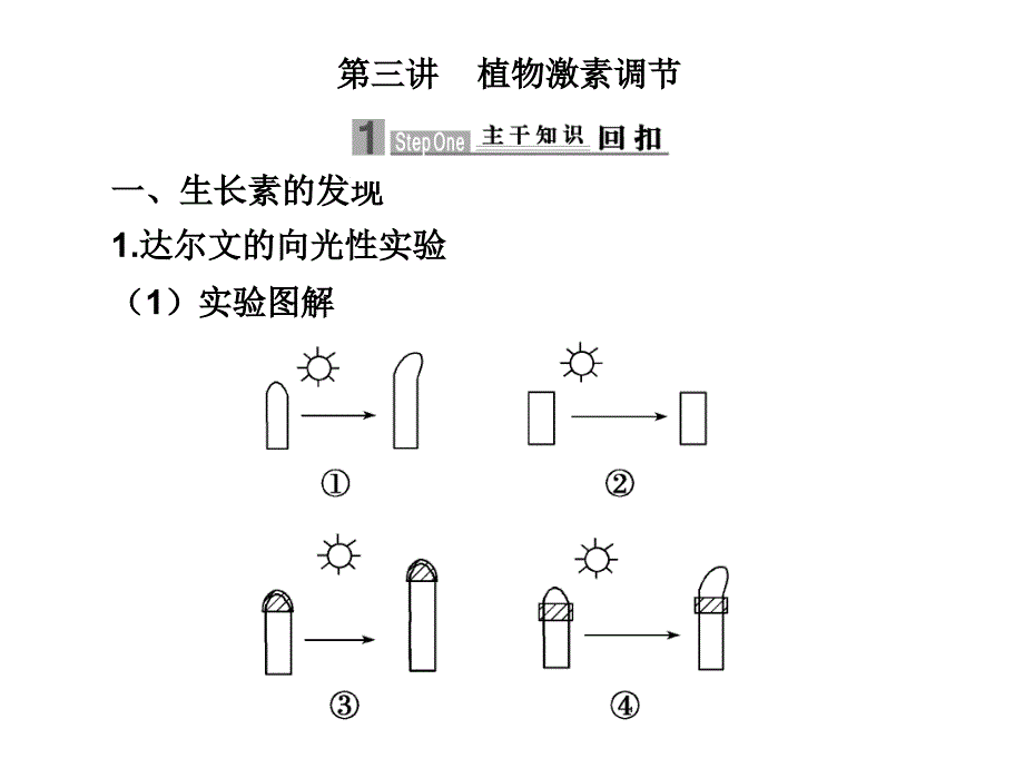 2010届高三生物植物激素调节.ppt_第1页