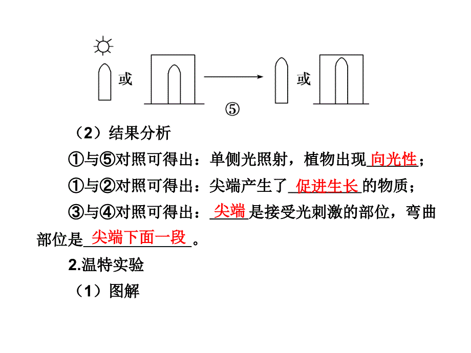 2010届高三生物植物激素调节.ppt_第2页