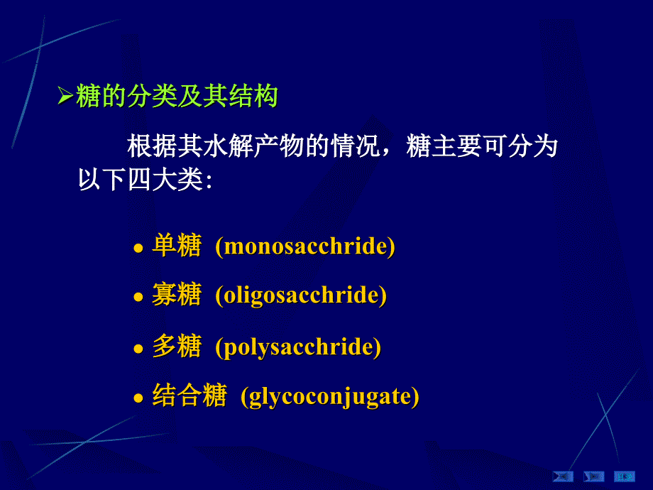 生物化学：第04章 糖代谢_第3页