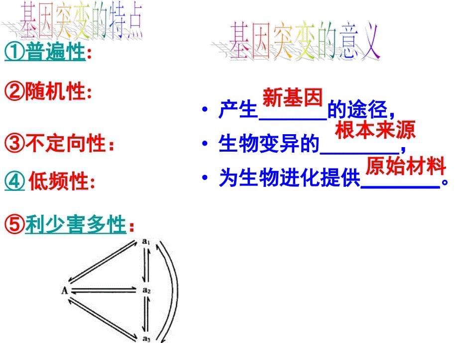 变异与育种专题_第5页