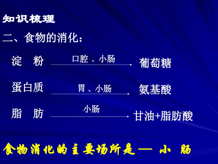 消化和吸收复习课PPT课件_第4页