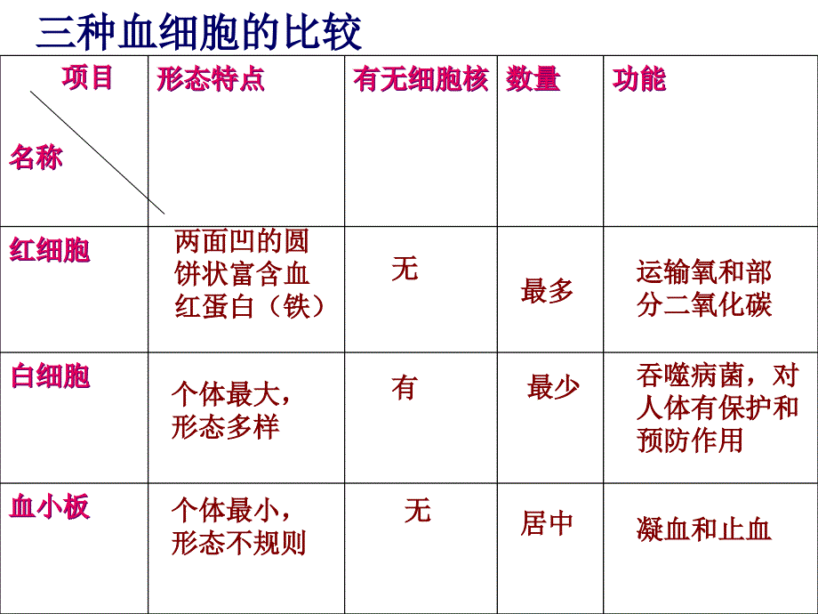 七年级生物下册_血流的管道—血管课件_人教新课标版_第4页