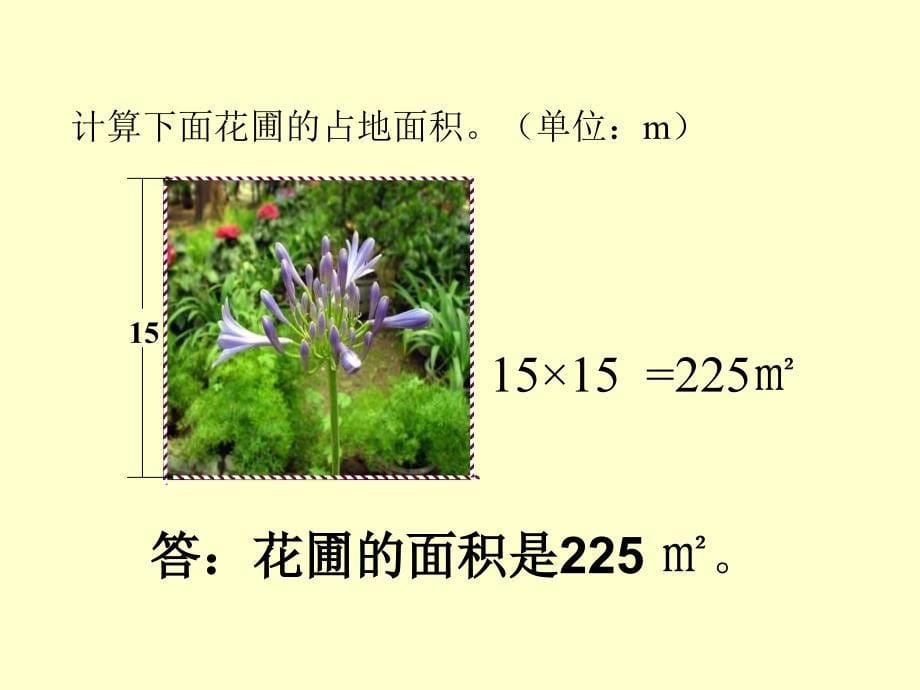 人教课标版三年下《长方形与正方形的面积》ppt课件_第5页