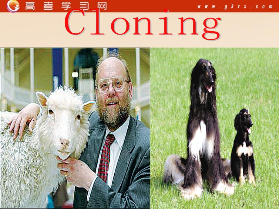 Module 5《Cloning》Grammar课件2（8张PPT）（外研版选修6）_第1页