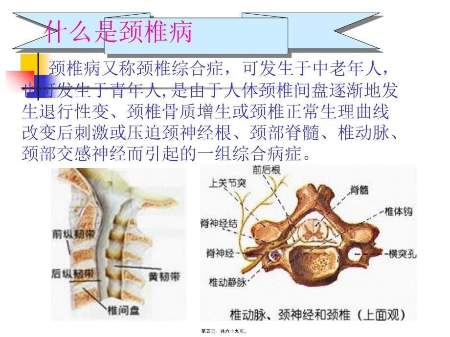 2022医学课件办公室常见病的防治(修改)_第5页